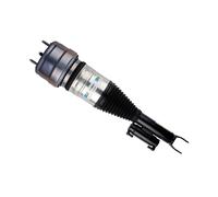 Puntone Aria Anteriore Destro Gas Inferiore Forcone BILSTEIN B4 per Altre Cose