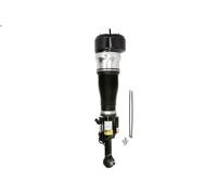 Puntone della sospensione pneumatica ARNOTT EUROPE AS-2548 per CLASSE S 3 2005-