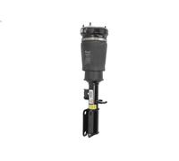Puntone della sospensione pneumatica ARNOTT EUROPE AS-2765 per X5 (E53) 3 2000-