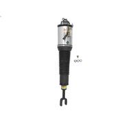 Puntone della sospensione pneumatica ARNOTT EUROPE AS-2778 per A8 D3 3 2003-2005