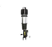 Puntone della sospensione pneumatica ARNOTT EUROPE AS-2785 per CLS 3 2008-201