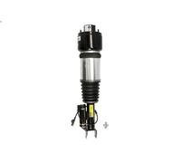 Puntone della sospensione pneumatica ARNOTT EUROPE AS-2786 per CLS 3 2008-2010