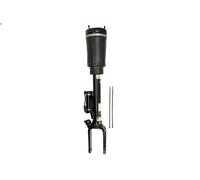 Puntone per sospensione pneumatica ARNOTT EUROPE AS-2792