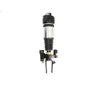 Puntone della sospensione pneumatica ARNOTT EUROPE AS-3000 per 3 2006-