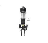 Puntone della sospensione pneumatica ARNOTT EUROPE AS-3001 per 3 2006-