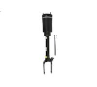 Puntone della sospensione pneumatica ARNOTT EUROPE AS-3005 per L 3 2009-