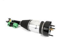 Puntone della sospensione pneumatica ARNOTT EUROPE AS-3335 per CLASSE C 2 2013-