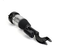 Puntone della sospensione pneumatica ARNOTT EUROPE AS-3338 per 2 2015-