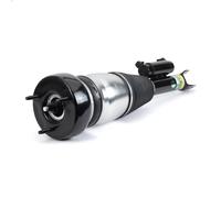 Puntone della sospensione pneumatica ARNOTT EUROPE AS-3339 per CLASSE C 2 2013-