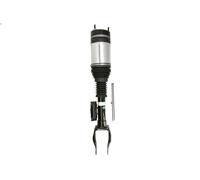 Puntone della sospensione pneumatica ARNOTT EUROPE AS-3594 per GLE 3 2015-2018