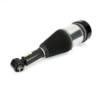 Puntone della sospensione pneumatica ARNOTT EUROPE AS-3801 5 Touring 2 2017-202