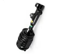 Puntone della sospensione pneumatica ARNOTT EUROPE AS-3896 per 3 2009-