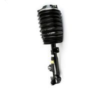 Puntone della sospensione pneumatica ARNOTT EUROPE AS-3897 per 3 2009-