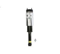 Puntone della sospensione pneumatica ARNOTT EUROPE per DISCOVERY IV 5 2009-2018