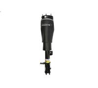 Puntone della sospensione pneumatica ARNOTT EUROPE per RANGE ROVER III 3 2002-