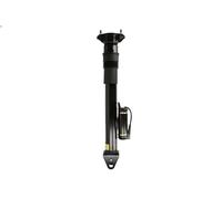 Puntone della sospensione pneumatica ARNOTT EUROPE SK-2867 per CLASSE M 5 2005-