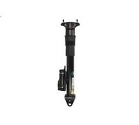 Puntone della sospensione pneumatica ARNOTT EUROPE SK-3217 per CLASSE R 3 2009-