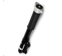 Puntone della sospensione pneumatica ARNOTT EUROPE SK-3389 per 2 2014-