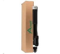 Puntone della sospensione pneumatica ARNOTT EUROPE SK-339 per 2 2013-