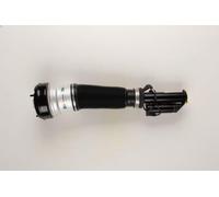 Puntone della sospensione pneumatica BILSTEIN 44-042295 per CLASSE S 5 1998-2003