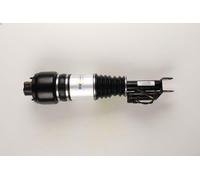Puntone della sospensione pneumatica BILSTEIN 44-104535 per CLS (C219) 3 2008-