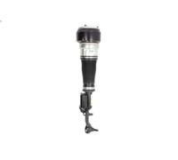 Puntone della sospensione pneumatica BILSTEIN 44-110475 per CLASSE S 3 2005-2013
