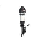 Puntone della sospensione pneumatica MAGNUM TECHNOLOGY APM003MT per CLS 3 2008-
