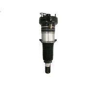 Puntone della sospensione pneumatica MAGNUM TECHNOLOGY per A8 D4 2 2016-2018