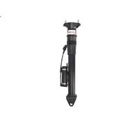 Puntone della sospensione pneumatica MAGNUM TECHNOLOGY per CLASSE M 5 2005-2011