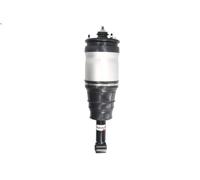 Puntone della sospensione pneumatica MAGNUM TECHNOLOGY per DISCOVERY IV 5 2009-