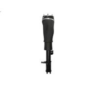 Puntone della sospensione pneumatica per RANGE ROVER III (L322) 3 2002-2012