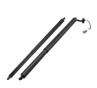 Puntone di supporto del portellone elettrico compatibile con Escape 2013 2014 2015 2016 2017 2018 2019 CJ54S402A55AD CJ5Z78406A10B(Left and right)