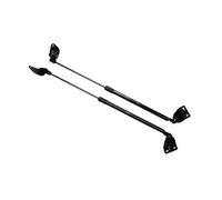 Puntone Gas Supporto Copertura portellone Posteriore Ammortizzatori Molla Gas Aste Supporto Ammortizzatore per Suzuki per Alto HA24 2004-2009 Hatchback