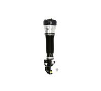 Puntone per sospensione pneumatica ARNOTT EUROPE AS-2193