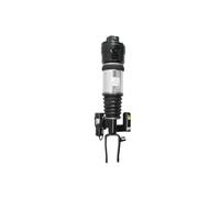 Arnott AS-2294 Ammortizzatore pneumatico