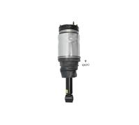 Arnott AS-2534 Gamba elastica con ammortiz. pneumatico per LAND ROVER