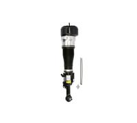 Puntone per sospensione pneumatica ARNOTT EUROPE AS-2548 sinistro