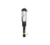 Puntone per sospensione pneumatica ARNOTT EUROPE AS-2761