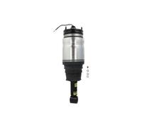 Puntone per sospensione pneumatica ARNOTT EUROPE AS-2762