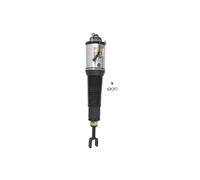 Puntone per sospensione pneumatica ARNOTT EUROPE AS-2778 sinistro