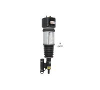Puntone per sospensione pneumatica ARNOTT EUROPE AS-2783