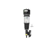 Arnott AS-2784 Ammortizzatore pneumatico