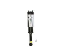 Arnott Air Suspension AS-2809 Air Suspension Strut Assembly by Arnott