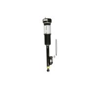 Puntone per sospensione pneumatica ARNOTT EUROPE AS-2822 sinistro
