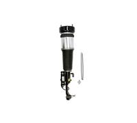 Puntone per sospensione pneumatica ARNOTT EUROPE AS-2853 sinistro