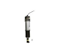 Puntone per sospensione pneumatica ARNOTT EUROPE AS-2978