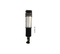 Arnott Puntone per sospensione pneumatica AS-2980 Posteriore DX per BMW 7