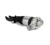 Puntone per sospensione pneumatica ARNOTT EUROPE AS-3165 sinistro