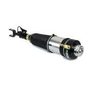 Puntone per sospensione pneumatica ARNOTT EUROPE AS-3369 sinistro