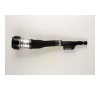 Puntone per sospensione pneumatica BILSTEIN - B4 OE Replacement (Air) BILSTEIN 44-109479 sinistro
